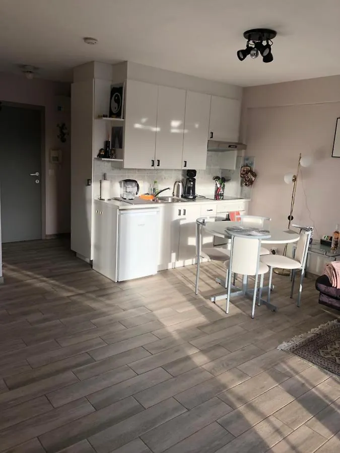 Shiny Nice Studio At Ostend Appartement